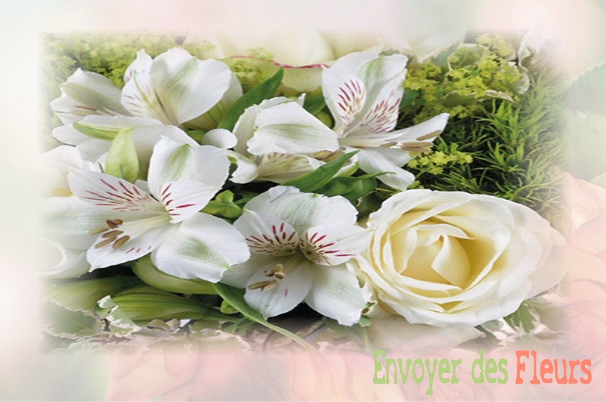 envoyer des fleurs à à SAINT-ANDRE-D-APCHON